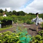 kolonihave stil og indretning fra www.kolonihave.nu