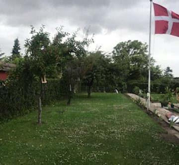 Kolonihave