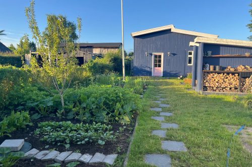 Kolonihave i Odense C