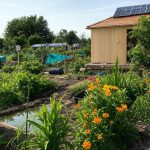 bæredygtig kolonihave