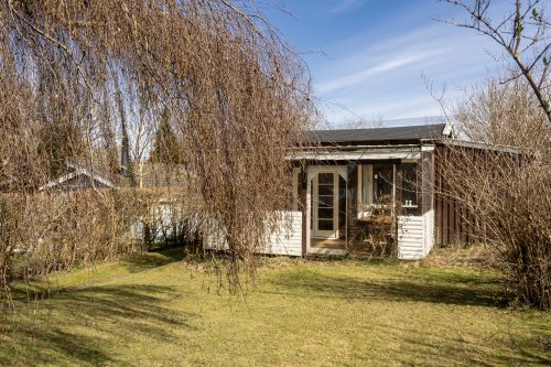 Andelskolonihave i Hjortespring Herlev til salg