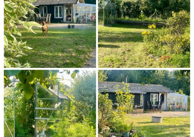 Fin Kolonihave – Løkkegårds Haver